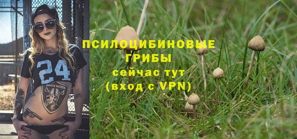 не бодяженный Волоколамск